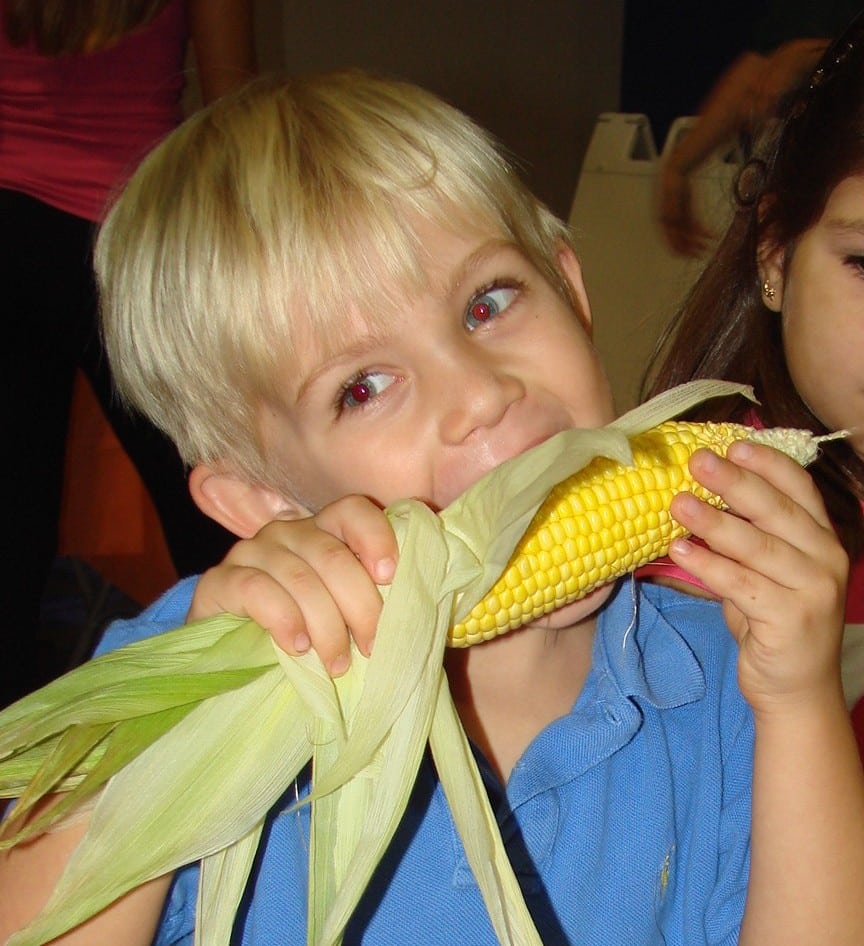 Eating Corn Cob