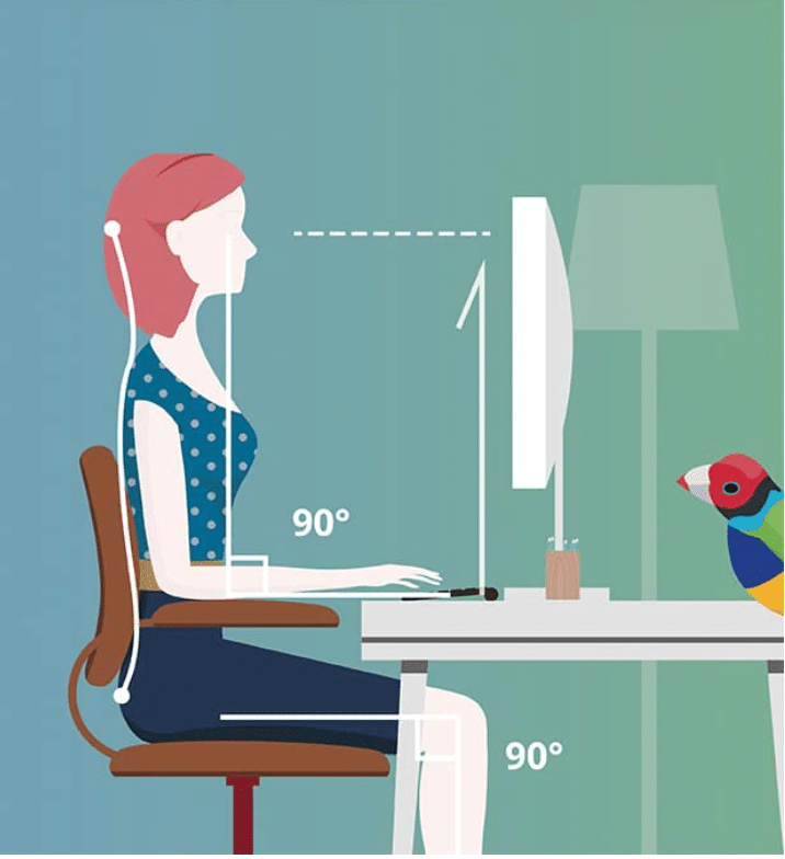 Ergonomic seating diagram