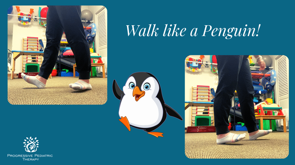 Adult penguin walking